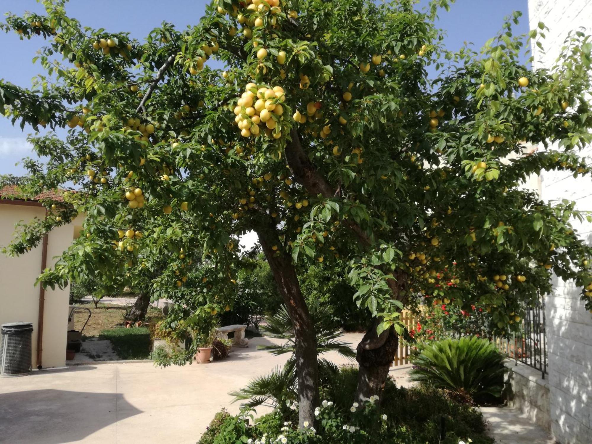 Countryhouse باري المظهر الخارجي الصورة